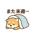 週一で燃えるイッヌ（個別スタンプ：19）