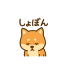 週一で燃えるイッヌ（個別スタンプ：22）