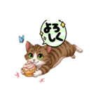 やんちゃな猫ちゃんず（個別スタンプ：5）