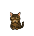 表情豊かな猫文字少なめ（個別スタンプ：2）