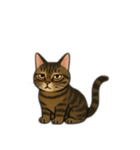 表情豊かな猫文字少なめ（個別スタンプ：3）