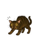 表情豊かな猫文字少なめ（個別スタンプ：8）