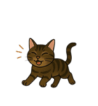 表情豊かな猫文字少なめ（個別スタンプ：10）