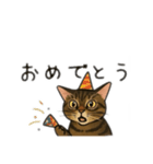 表情豊かな猫文字少なめ（個別スタンプ：13）
