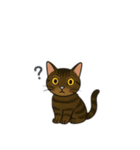 表情豊かな猫文字少なめ（個別スタンプ：15）