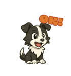ボーダーコリーとトーク（個別スタンプ：11）