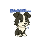 ボーダーコリーとトーク（個別スタンプ：15）