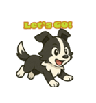 ボーダーコリーとトーク（個別スタンプ：17）