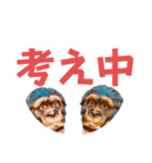適当挨拶その1（個別スタンプ：11）