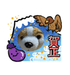 謹賀新イヤースタンプ（個別スタンプ：9）