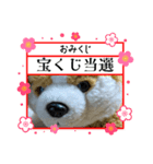 謹賀新イヤースタンプ（個別スタンプ：15）
