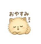 モフコロ②（個別スタンプ：23）