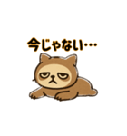 ネムジロウ①（個別スタンプ：5）
