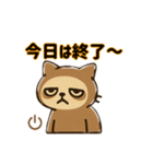 ネムジロウ①（個別スタンプ：11）