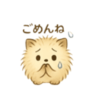 モフコロスタンプ①（個別スタンプ：11）