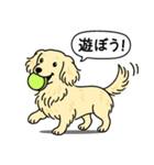 ミニチュアダックス(ロング＋クリーム)（個別スタンプ：1）