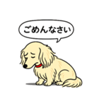 ミニチュアダックス(ロング＋クリーム)（個別スタンプ：2）