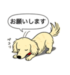 ミニチュアダックス(ロング＋クリーム)（個別スタンプ：7）