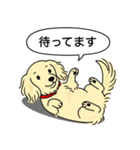 ミニチュアダックス(ロング＋クリーム)（個別スタンプ：10）