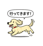 ミニチュアダックス(ロング＋クリーム)（個別スタンプ：13）