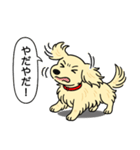 ミニチュアダックス(ロング＋クリーム)（個別スタンプ：23）