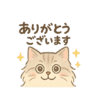 もふもふねこ 日常編（個別スタンプ：1）