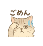 もふもふねこ 日常編（個別スタンプ：3）