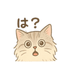 もふもふねこ 日常編（個別スタンプ：4）
