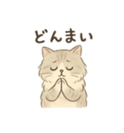 もふもふねこ 日常編（個別スタンプ：6）