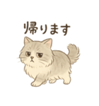 もふもふねこ 日常編（個別スタンプ：7）