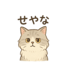 もふもふねこ 日常編（個別スタンプ：9）