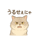 もふもふねこ 日常編（個別スタンプ：12）