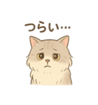 もふもふねこ 日常編（個別スタンプ：13）