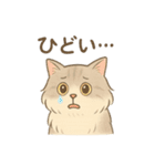 もふもふねこ 日常編（個別スタンプ：15）