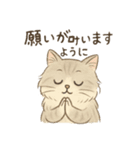 もふもふねこ 日常編（個別スタンプ：16）