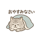 もふもふねこ 日常編（個別スタンプ：20）