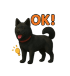 甲斐犬のかわいいスタンプ2です（個別スタンプ：1）