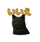 甲斐犬のかわいいスタンプ2です（個別スタンプ：2）