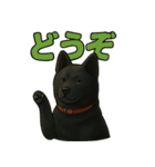 甲斐犬のかわいいスタンプ2です（個別スタンプ：3）