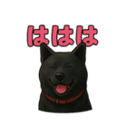甲斐犬のかわいいスタンプ2です（個別スタンプ：4）