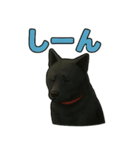 甲斐犬のかわいいスタンプ2です（個別スタンプ：6）