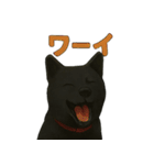 甲斐犬のかわいいスタンプ2です（個別スタンプ：14）