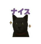 甲斐犬のかわいいスタンプ2です（個別スタンプ：15）