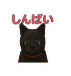 甲斐犬のかわいいスタンプ2です（個別スタンプ：18）