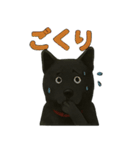 甲斐犬のかわいいスタンプ2です（個別スタンプ：19）