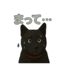 甲斐犬のかわいいスタンプ2です（個別スタンプ：20）