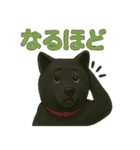 甲斐犬のかわいいスタンプ2です（個別スタンプ：22）