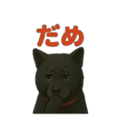 甲斐犬のかわいいスタンプ2です（個別スタンプ：23）