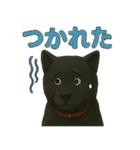 甲斐犬のかわいいスタンプ2です（個別スタンプ：24）