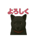 甲斐犬のかわいいスタンプ2です（個別スタンプ：26）